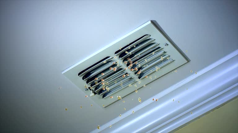 Best Local Air Duct Cleaning Services  in Westway, TX